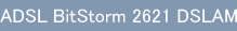 ADSL BitStorm 2621 DSLAM